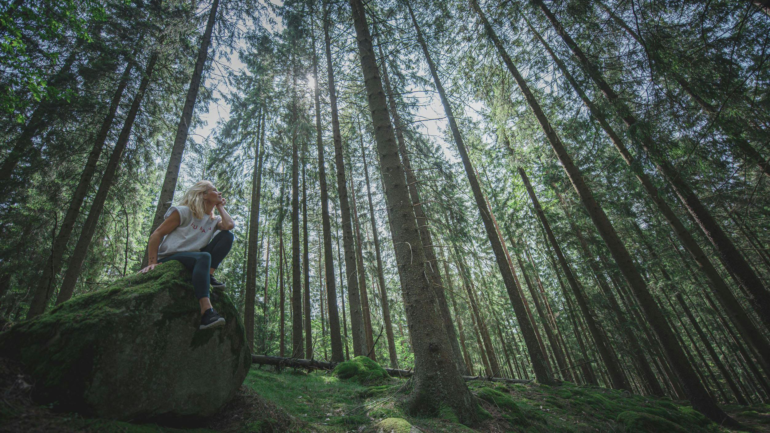 a woman sitting on a rock in the woods